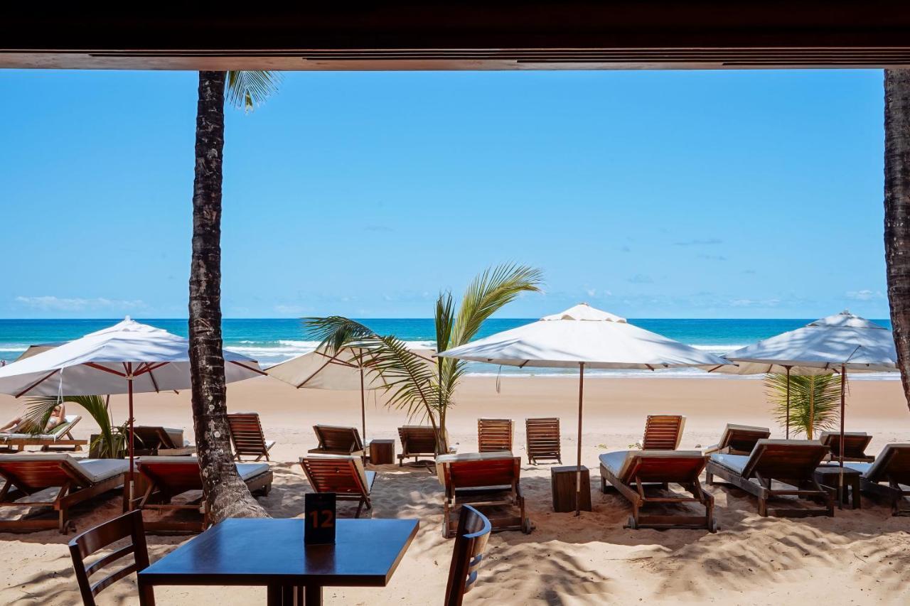 Dreamland Bungalows - Taipu De Fora - Barra Grande Экстерьер фото